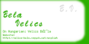 bela velics business card